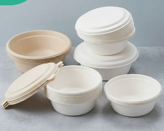 Bagasse Tableware