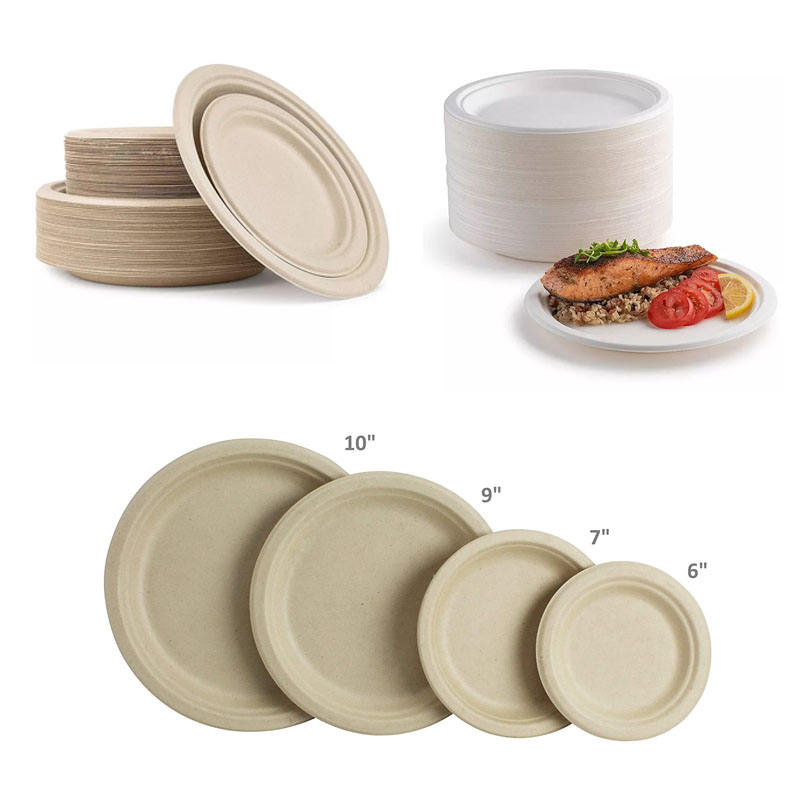 Eco-Friendly Bagasse Plates 9 Inch | BPA-Free Disposable Dinnerware for Parties