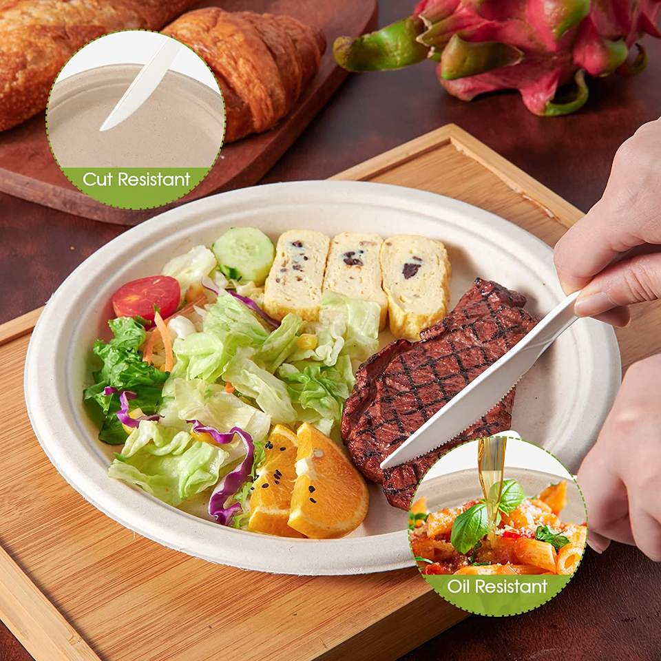 Eco-Friendly Biodegradable Bagasse Tableware Set - Plates, Cutlery for Parties