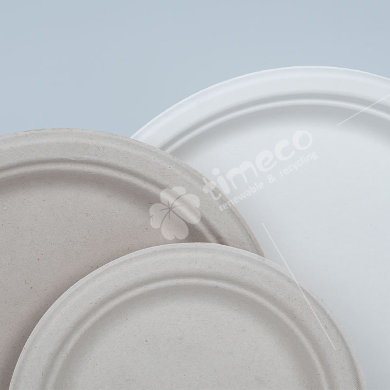 Custom Biodegradable Bagasse Plates - Eco-Friendly Sugarcane Tableware