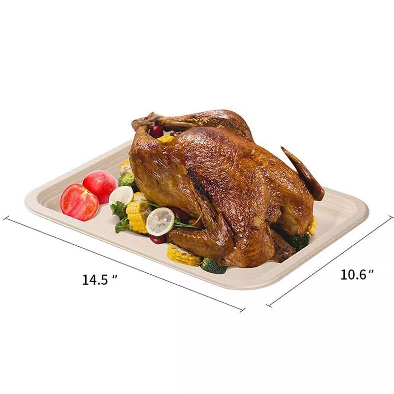 Eco-Friendly Bagasse Plates 9 Inch | BPA-Free Disposable Dinnerware for Parties