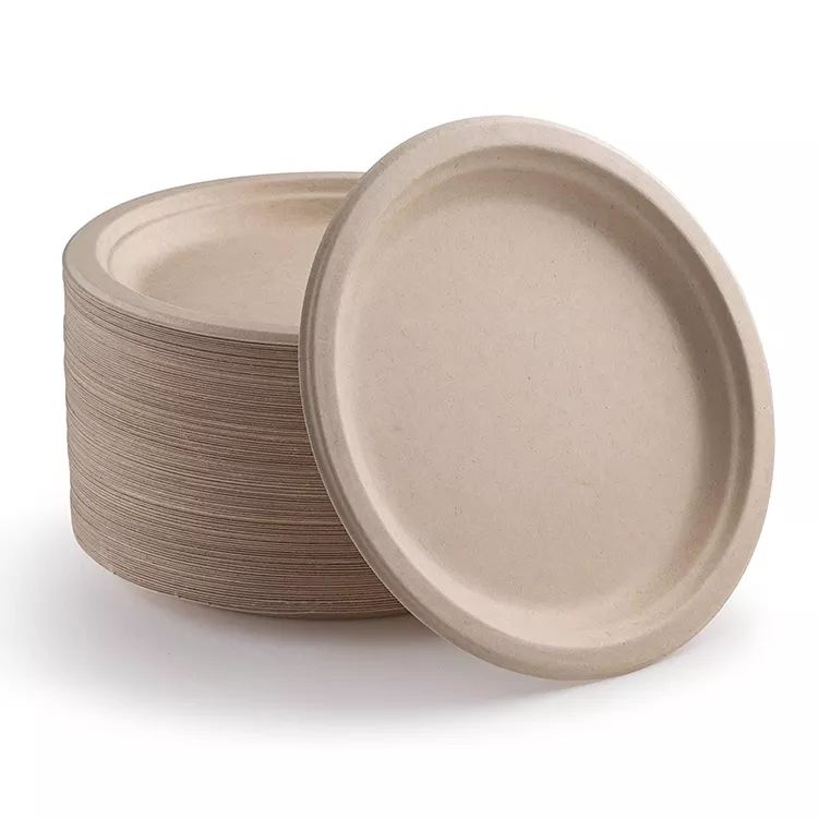 Eco-Friendly Bagasse Plates 9 Inch | BPA-Free Disposable Dinnerware for Parties