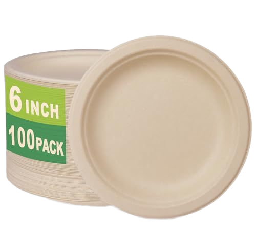 Custom Biodegradable Bagasse Plates - Eco-Friendly Sugarcane Tableware