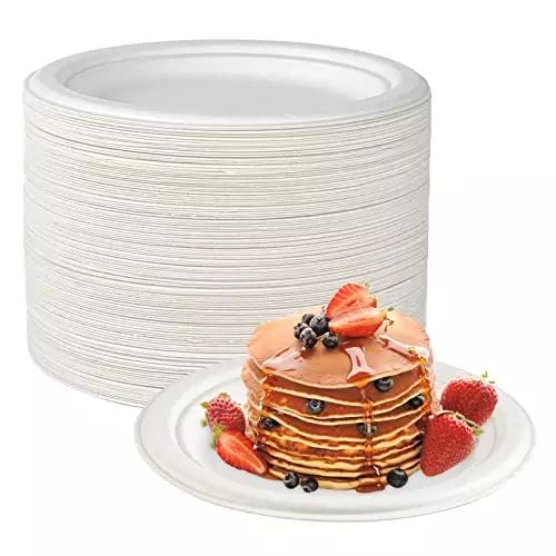 Eco-Friendly Bagasse Plates 9 Inch | BPA-Free Disposable Dinnerware for Parties