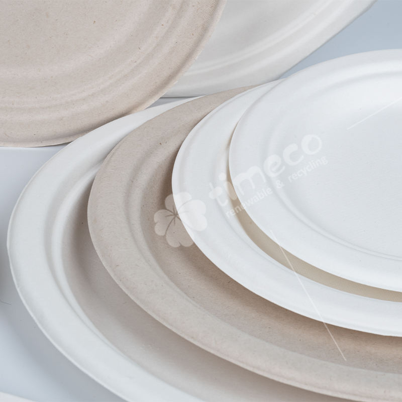 Custom Biodegradable Bagasse Plates - Eco-Friendly Sugarcane Tableware