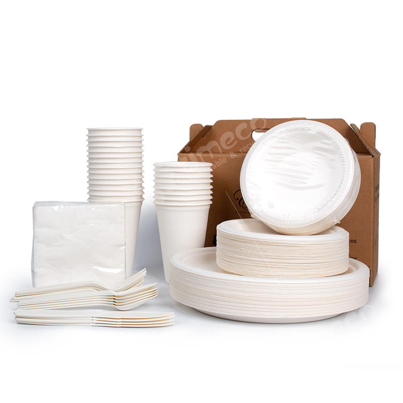 Custom Biodegradable Bagasse Plates - Eco-Friendly Sugarcane Tableware