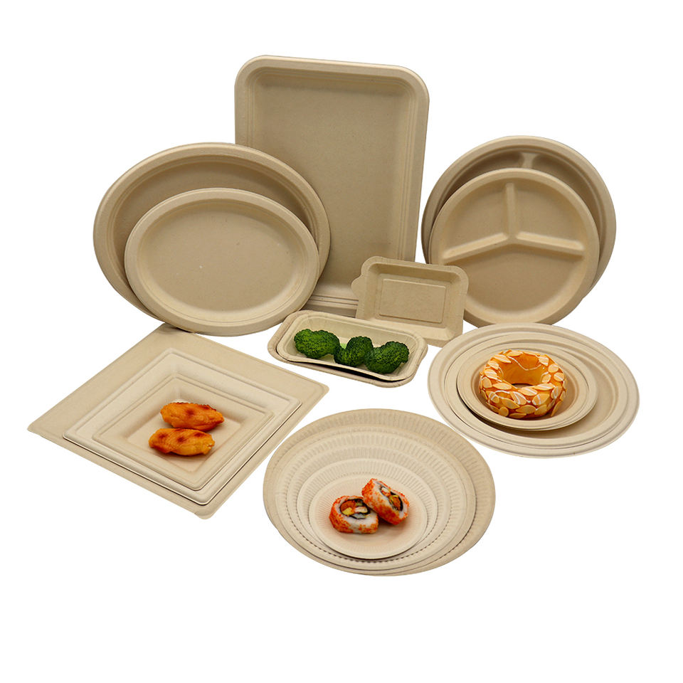 Eco-Friendly Bagasse Plates 9 Inch | BPA-Free Disposable Dinnerware for Parties