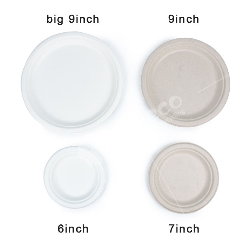 Custom Biodegradable Bagasse Plates - Eco-Friendly Sugarcane Tableware
