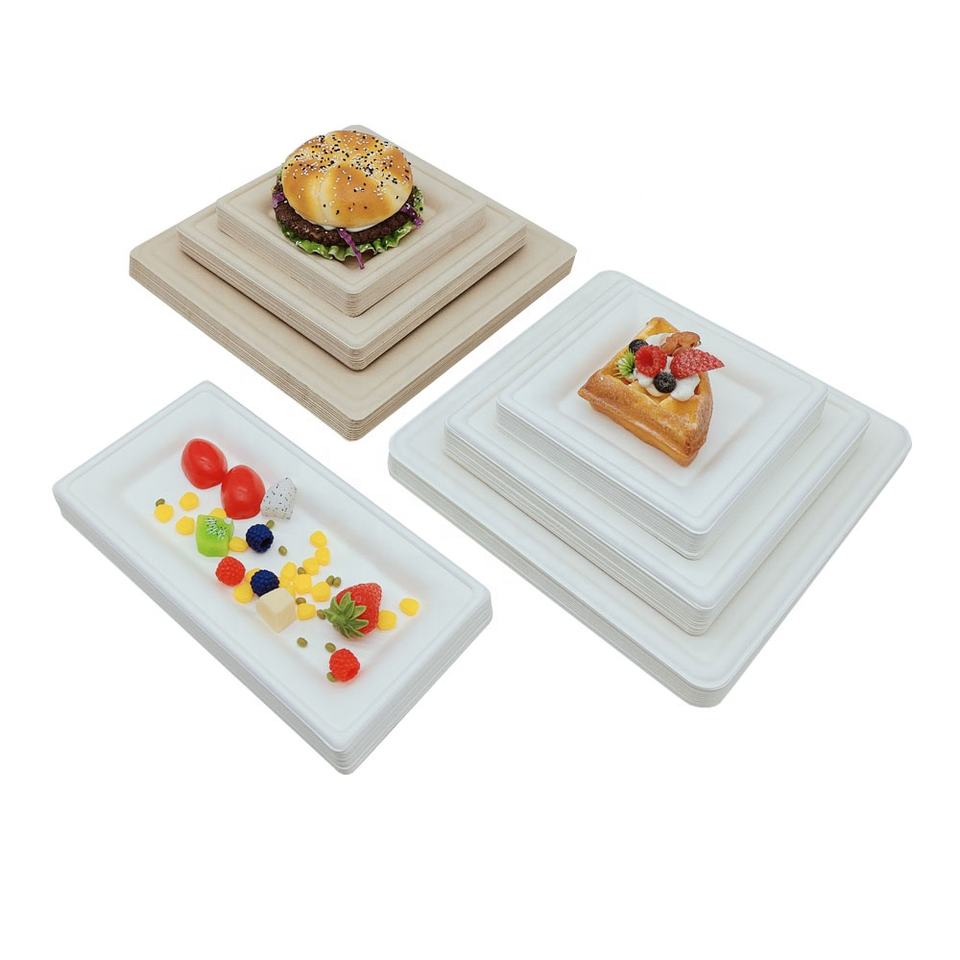 100% Biodegradable Bagasse Square Plates - Eco-Friendly Sugarcane Pulp Disposable Plates (6,8,10 inch)