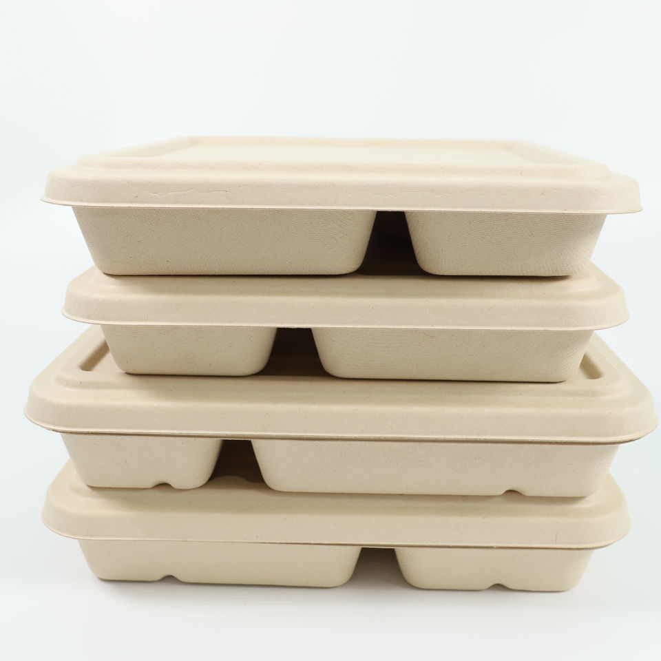 Sugarcane Pulp Trays - Eco-Friendly Biodegradable Packaging