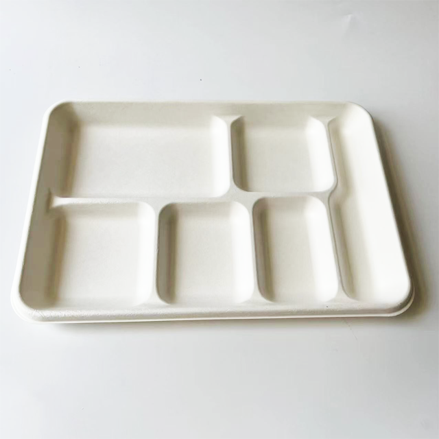 Eco-Friendly Bagasse 6-Compartment Food Tray | Disposable Sugarcane Party Plate