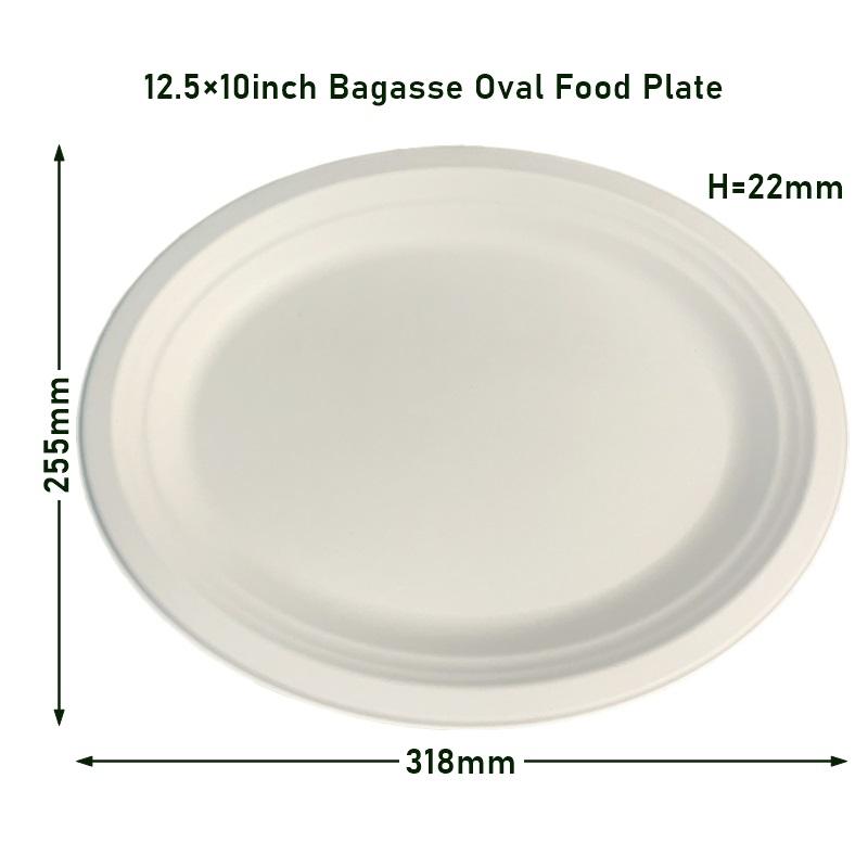 10-Inch Eco-Friendly Bagasse Oval Dinner Plate with Lid | Biodegradable & Compostable