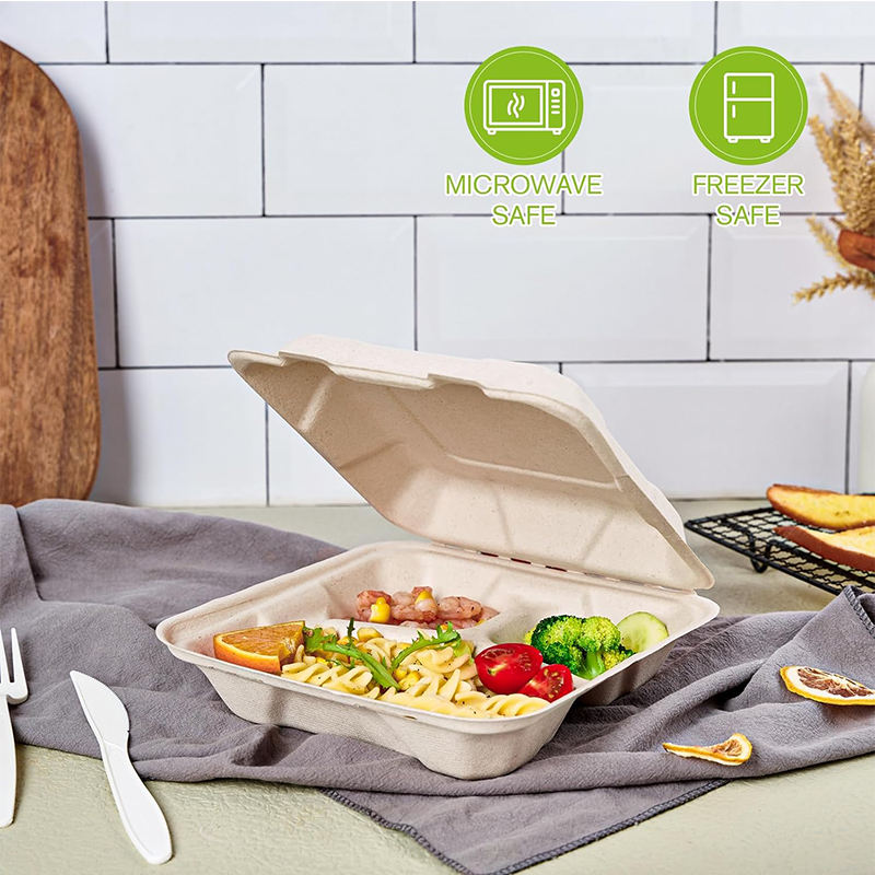 Biodegradable Sugarcane Bagasse Clamshell 8x8.5