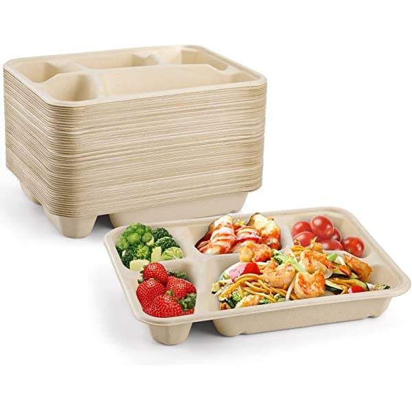 Custom Sugarcane Bagasse Lunch Trays - Biodegradable 2-Compartment Catering Trays