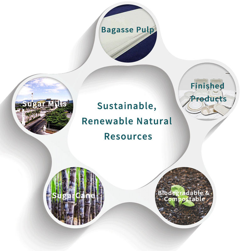 pfas-free-7-inch-disposable-sugarcane-bagasse-plates-compostable