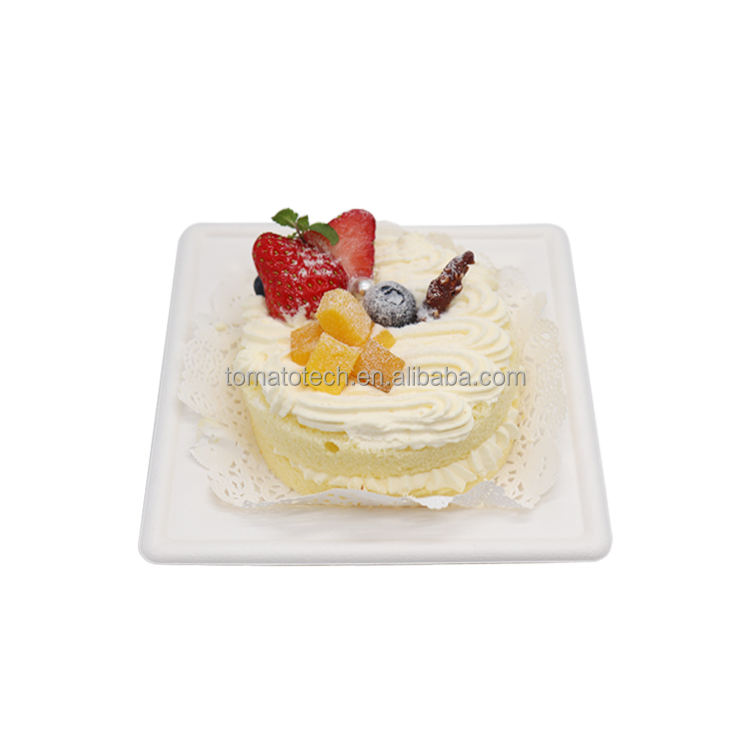 100% Biodegradable Bagasse Square Plates - Eco-Friendly Sugarcane Pulp Disposable Plates (6,8,10 inch)