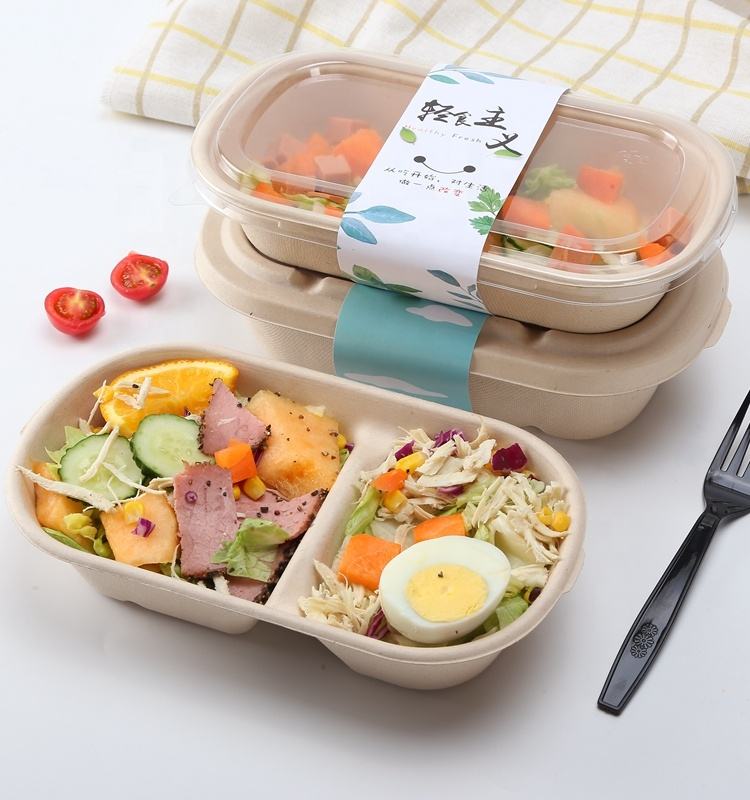 100% Biodegradable Disposable Paper Lunch Box with Lid - Eco-Friendly Food Containers for Wholesale