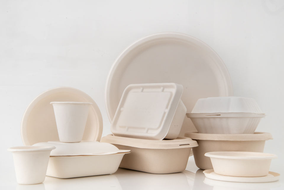 PFAS-Free Biodegradable 3-Compartment Sugarcane Bagasse Clamshell Box