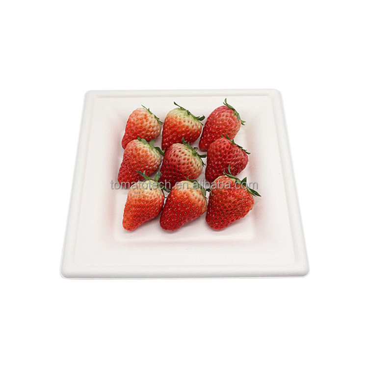 100% Biodegradable Bagasse Square Plates - Eco-Friendly Sugarcane Pulp Disposable Plates (6,8,10 inch)
