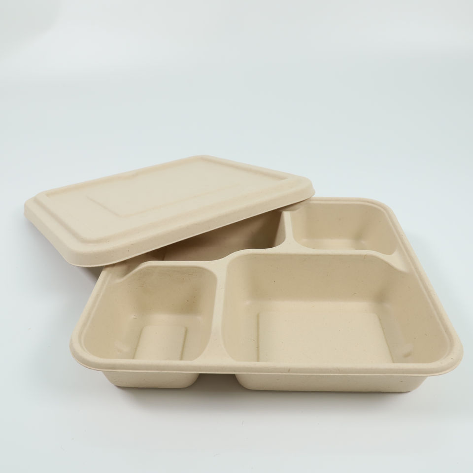 Sugarcane Pulp Trays - Eco-Friendly Biodegradable Packaging