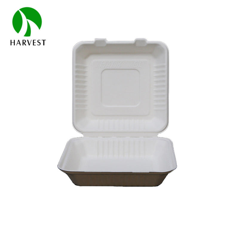 Eco-Friendly Bamboo Pulp Clamshell Takeaway Containers 6-10 Inch