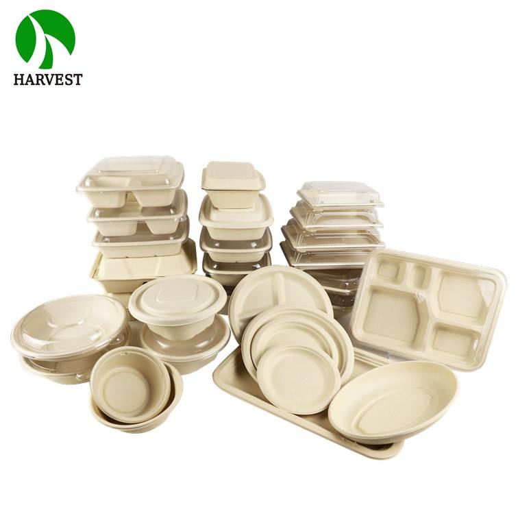 Eco-Friendly Bamboo Pulp Clamshell Takeaway Containers 6-10 Inch