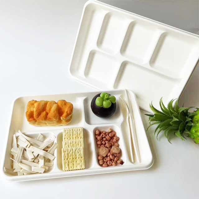 Eco-Friendly Bagasse 6-Compartment Food Tray | Disposable Sugarcane Party Plate