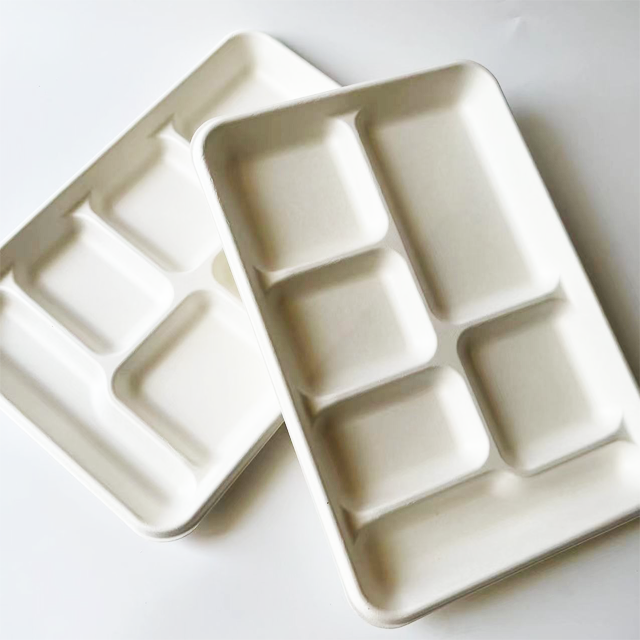 Eco-Friendly Bagasse 6-Compartment Food Tray | Disposable Sugarcane Party Plate