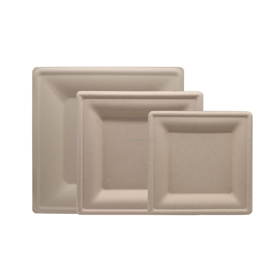 100% Biodegradable Bagasse Square Plates - Eco-Friendly Sugarcane Pulp Disposable Plates (6,8,10 inch)