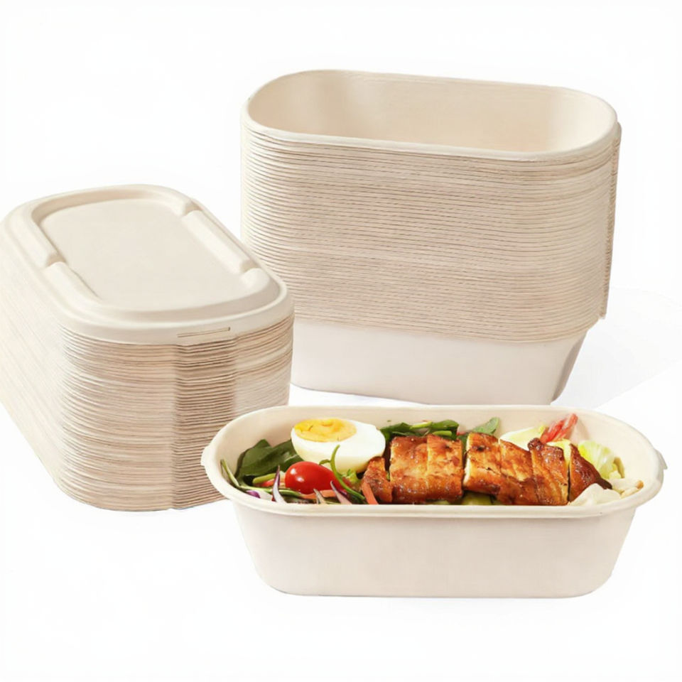 Biodegradable Sugarcane Bagasse Bowls - Eco-Friendly Disposable Lunch Boxes