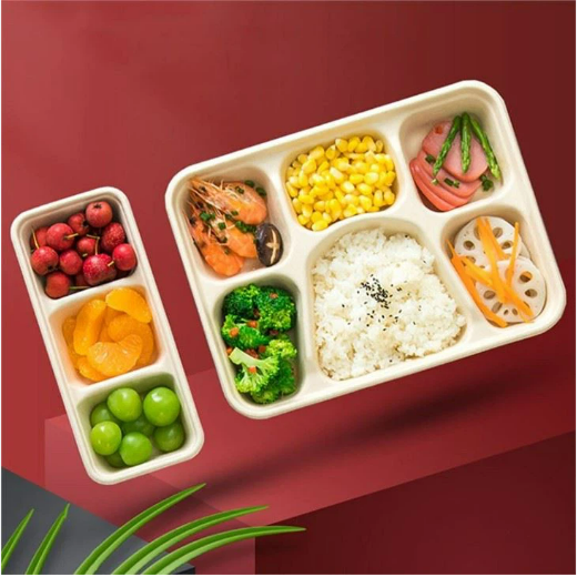 Custom Sugarcane Bagasse Lunch Trays - Biodegradable 2-Compartment Catering Trays