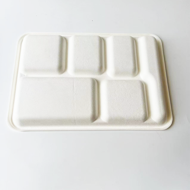 Eco-Friendly Bagasse 6-Compartment Food Tray | Disposable Sugarcane Party Plate