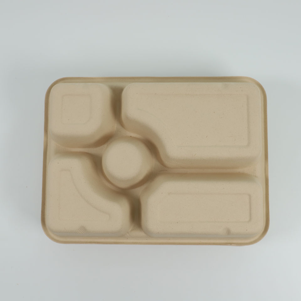 Sugarcane Pulp Trays - Eco-Friendly Biodegradable Packaging