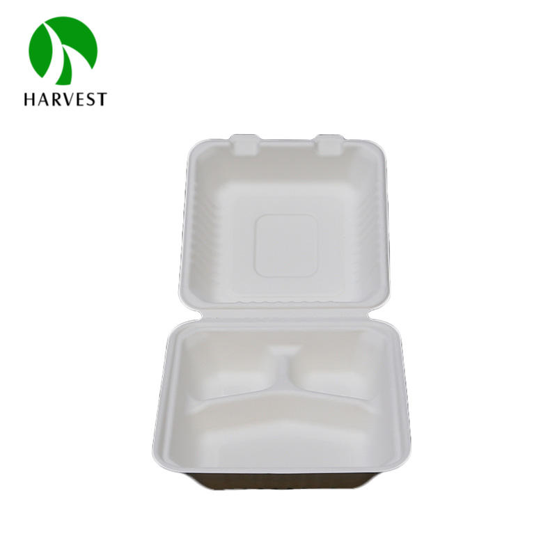 Eco-Friendly Bamboo Pulp Clamshell Takeaway Containers 6-10 Inch