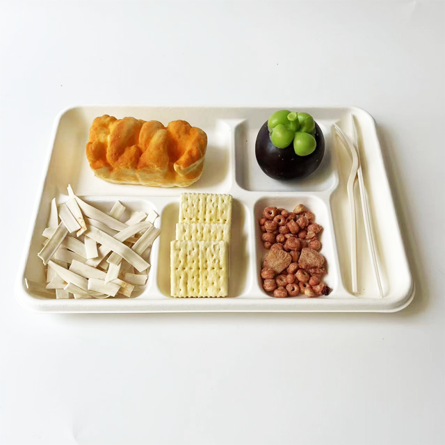 Eco-Friendly Bagasse 6-Compartment Food Tray | Disposable Sugarcane Party Plate