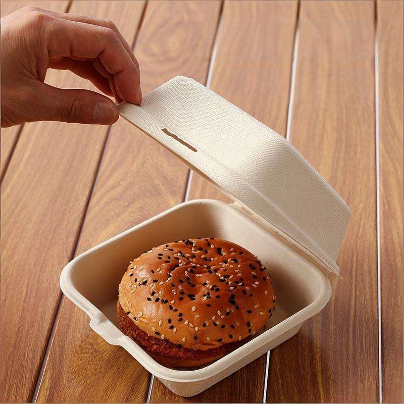 Biodegradable Sugarcane Pulp Clamshell Food Container – Eco Friendly Compostable Burger Box & Takeaway Lunch Box