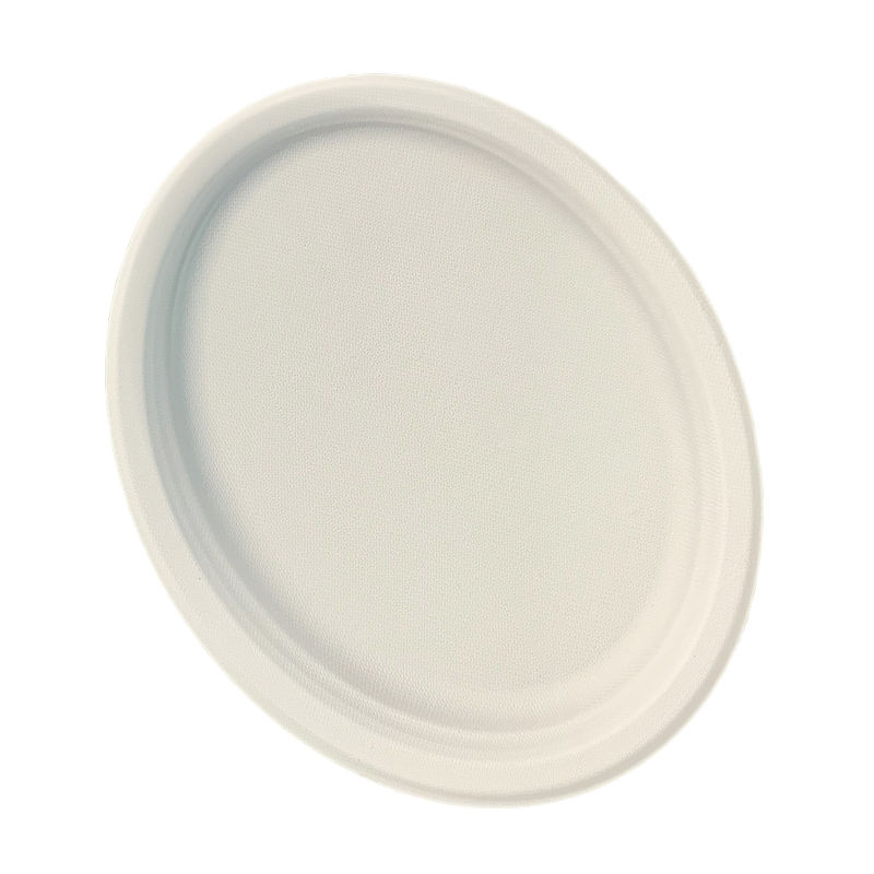 10-Inch Eco-Friendly Bagasse Oval Dinner Plate with Lid | Biodegradable & Compostable