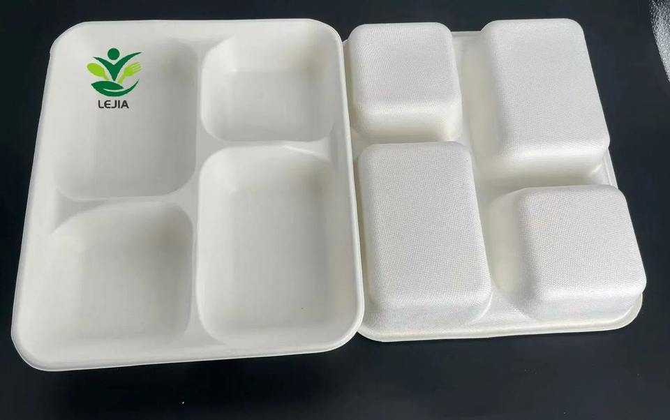 Eco-Friendly 4-Compartment Bagasse Lunch Tray for Food Storage