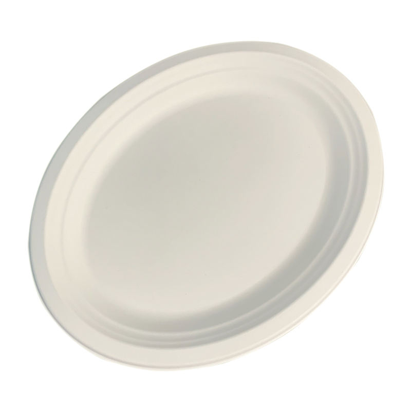 10-Inch Eco-Friendly Bagasse Oval Dinner Plate with Lid | Biodegradable & Compostable