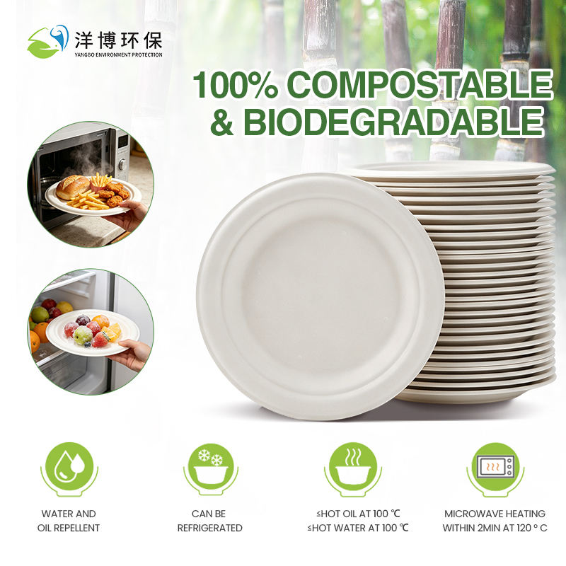 Bulk Eco-Friendly Rectangular Bagasse Plates for Dessert & Afternoon Tea