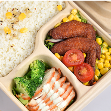 Custom Sugarcane Bagasse Lunch Trays - Biodegradable 2-Compartment Catering Trays