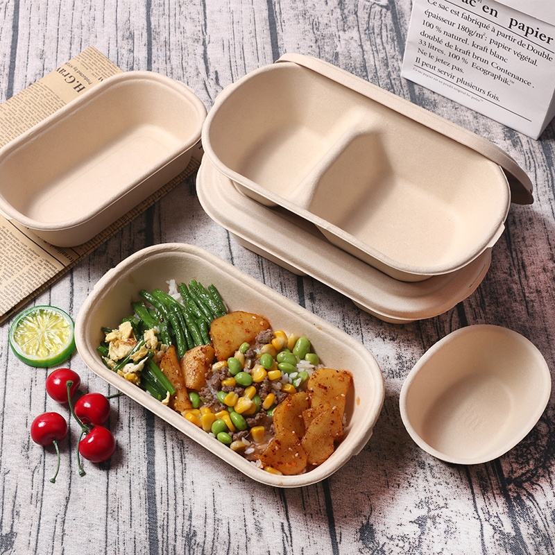 100% Biodegradable Disposable Paper Lunch Box with Lid - Eco-Friendly Food Containers for Wholesale