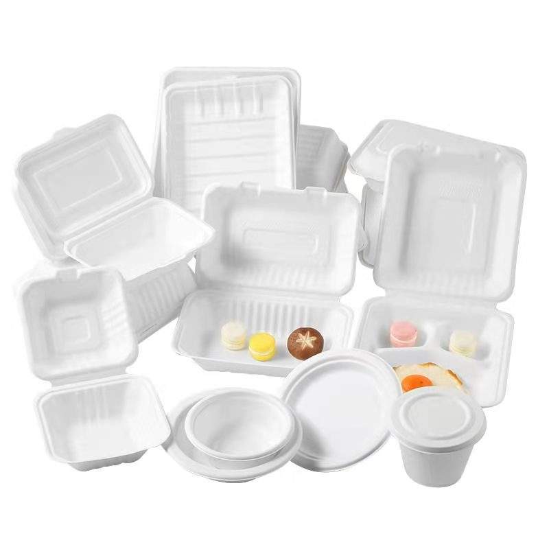 PFAS-Free Biodegradable 3-Compartment Sugarcane Bagasse Clamshell Box