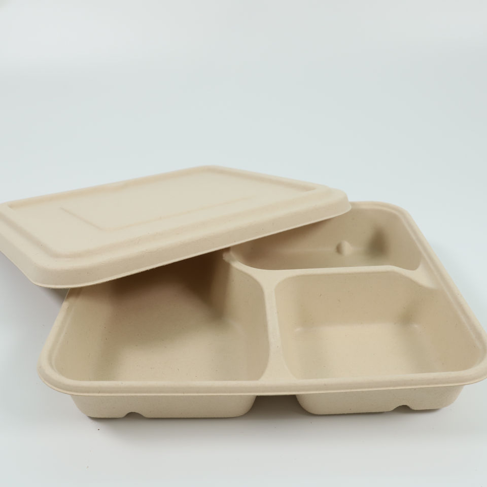 Sugarcane Pulp Trays - Eco-Friendly Biodegradable Packaging