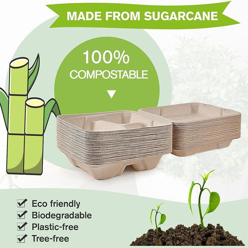 Biodegradable Sugarcane Bagasse Clamshell 8x8.5