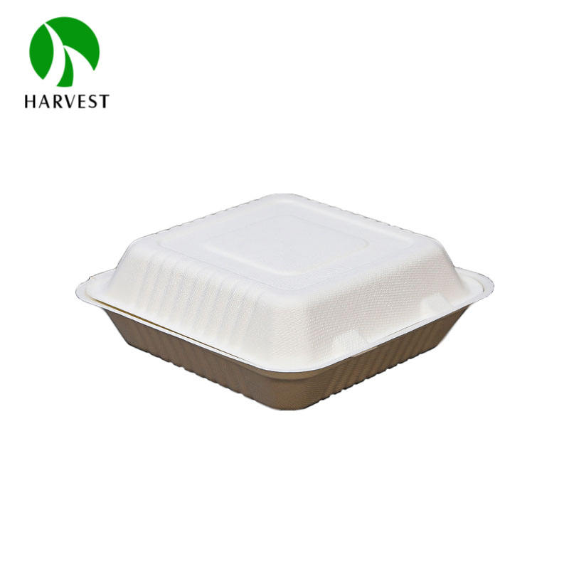 Eco-Friendly Bamboo Pulp Clamshell Takeaway Containers 6-10 Inch