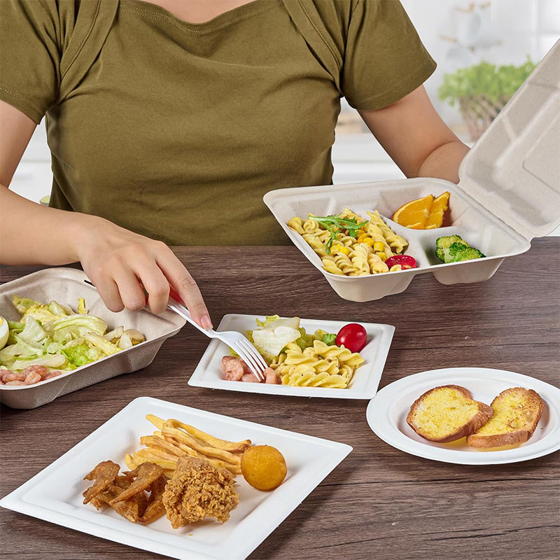 Biodegradable Sugarcane Bagasse Clamshell 8x8.5