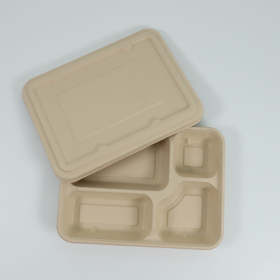 Sugarcane Pulp Trays - Eco-Friendly Biodegradable Packaging