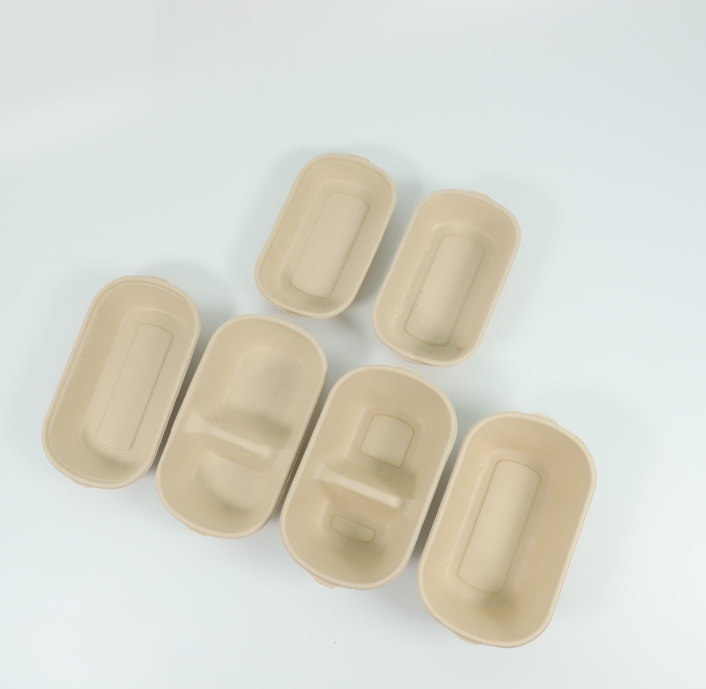 Biodegradable Sugarcane Bagasse Bowls - Eco-Friendly Disposable Lunch Boxes