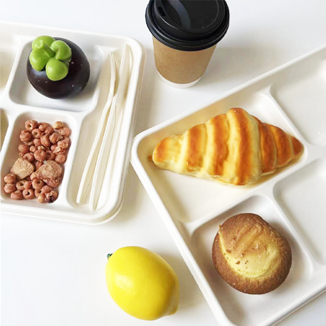 Eco-Friendly Bagasse 6-Compartment Food Tray | Disposable Sugarcane Party Plate